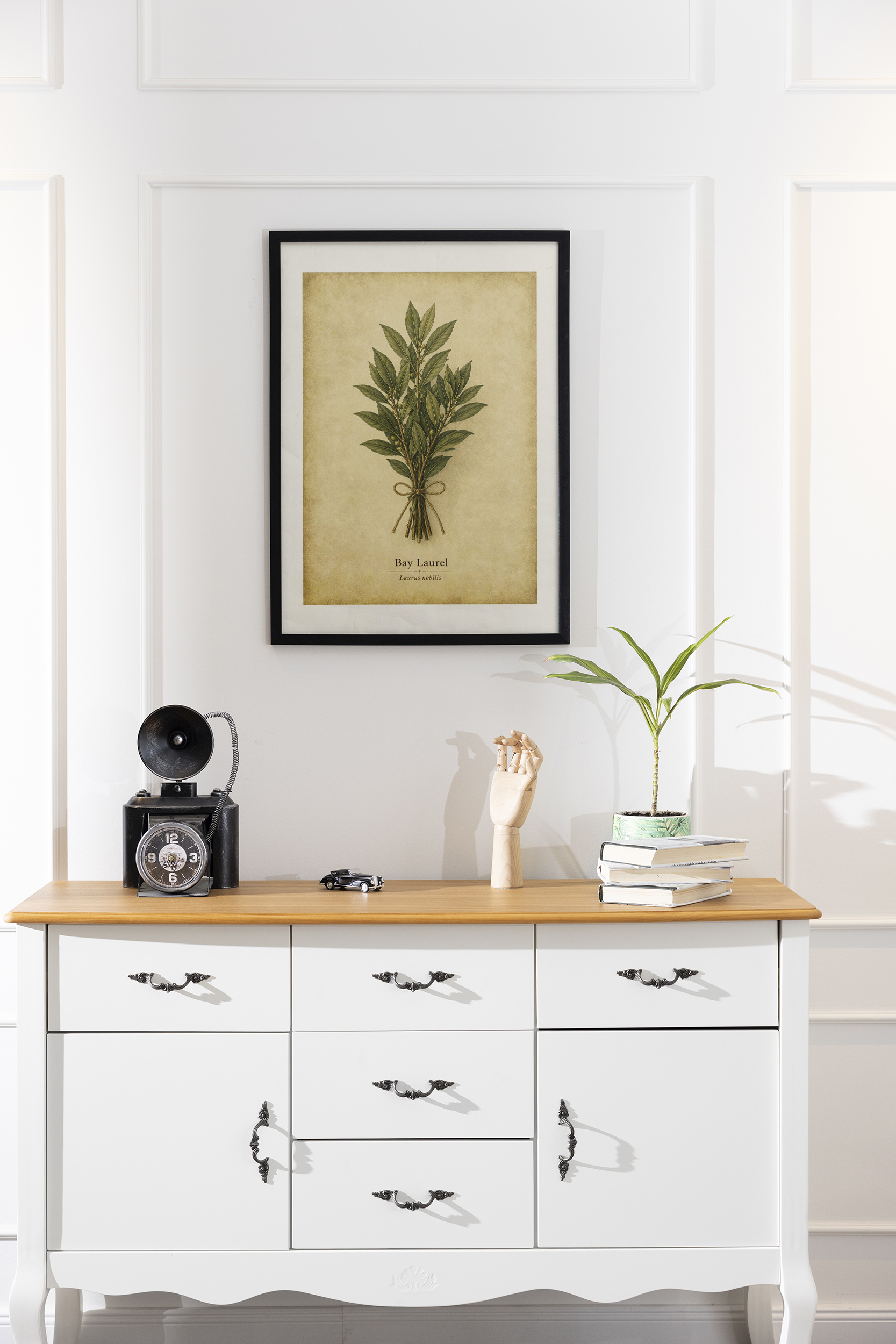 A framed bay laurel poster with a leafy sprig and beige parchment background hangs on a white paneled wall above a white console table with books and a small plant.